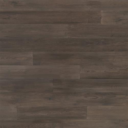 Coastal Lowlands in Petrified Hardwood