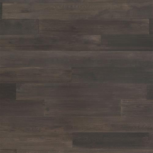 Coastal Lowlands in Shadow Wood Hardwood