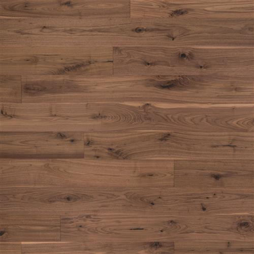 Coastal Lowlands in Umber Hardwood