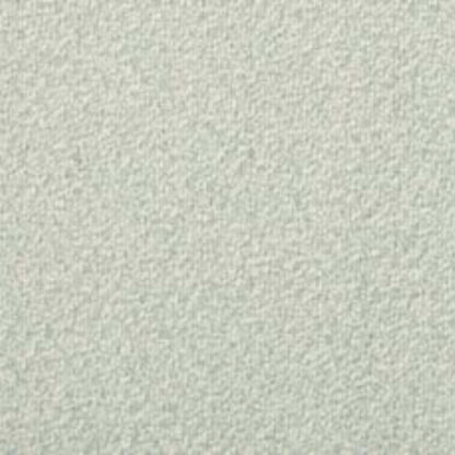 Coastal Vibes in Palm Coast Carpet