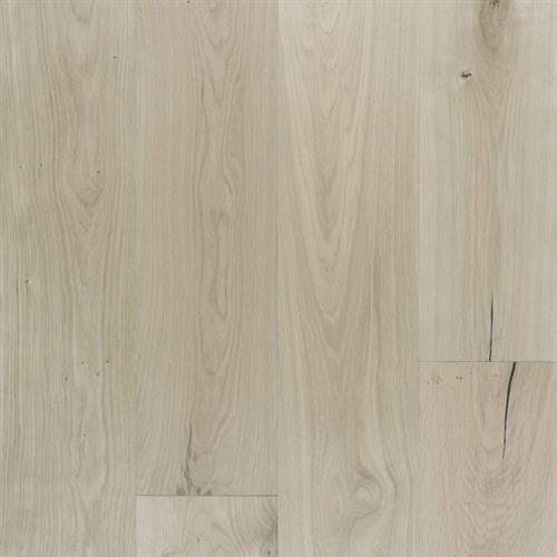 Continental in Shore Hardwood
