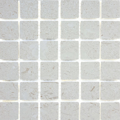 Sand Key in Shell Stone Mosaic Natural Stone