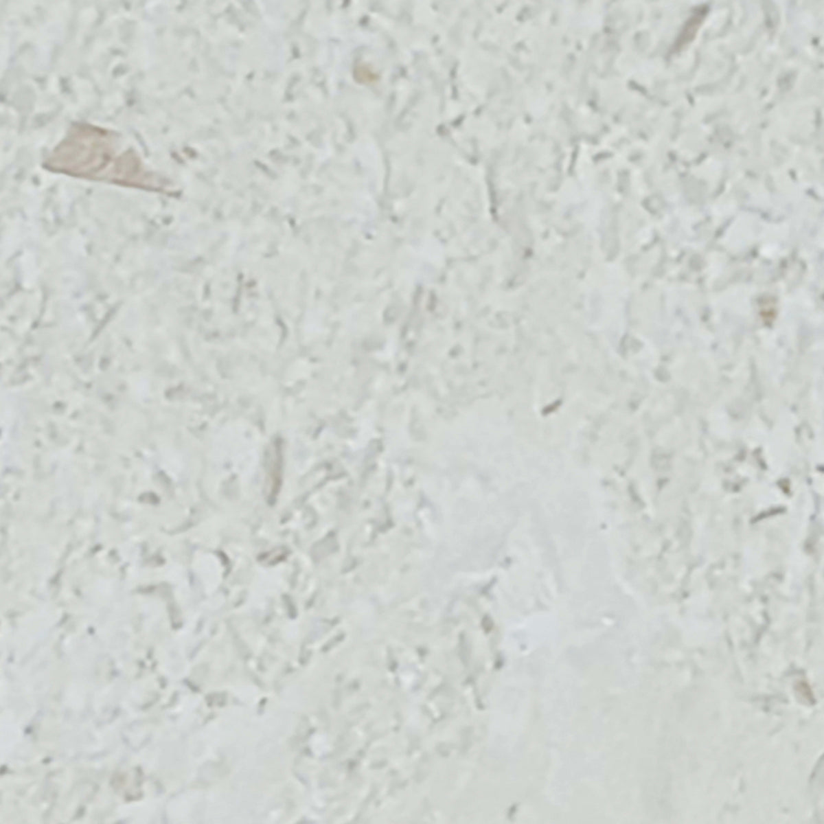 Sand Key in Shell Stone 4x8 Natural Stone