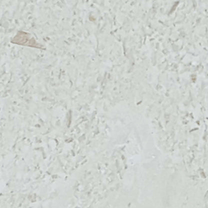 Sand Key in Shell Stone 4x8 Natural Stone