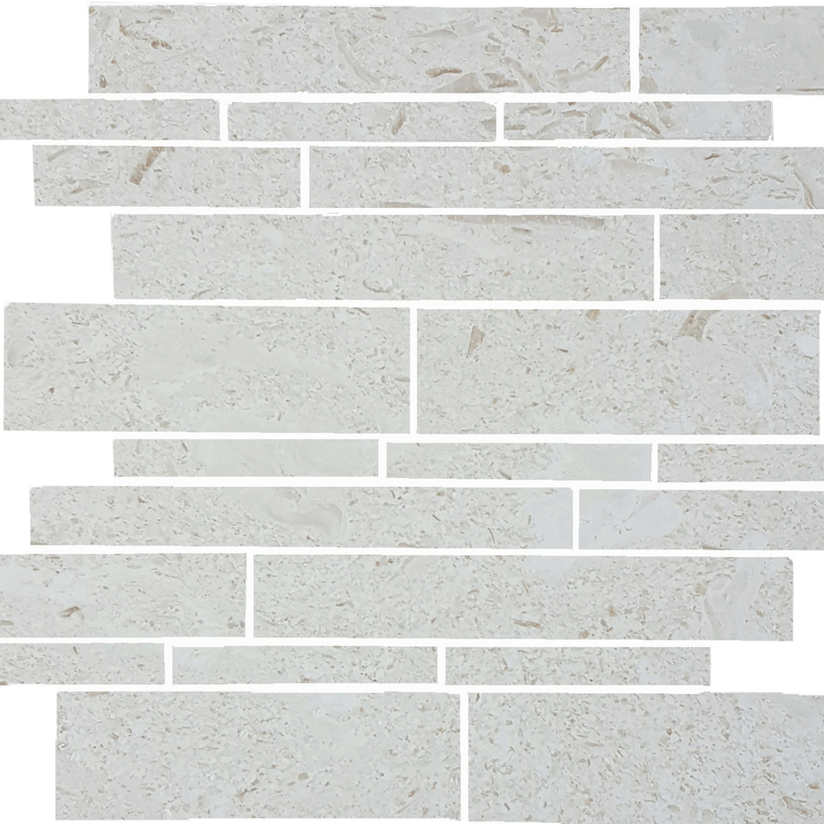 Sand Key in Shell Stone Random Linear Natural Stone