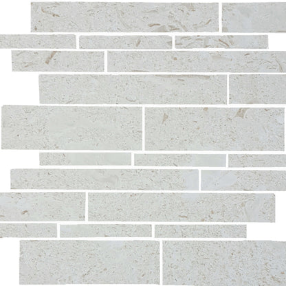 Sand Key in Shell Stone Random Linear Natural Stone