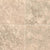 Crema Cappuccino in Crema Cappuccino - 12x12 Natural Stone
