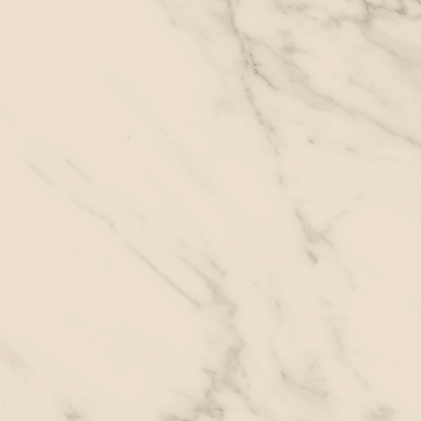 Access Point in Statuario White Tile