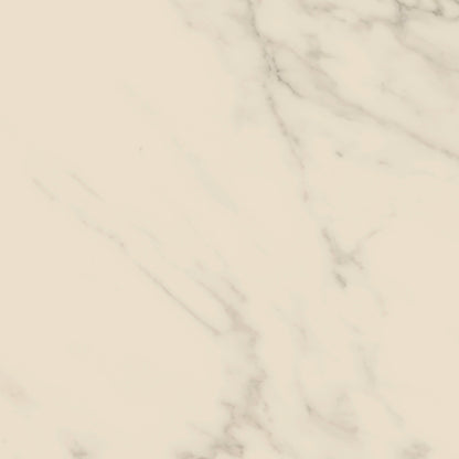 Access Point in Statuario White Tile