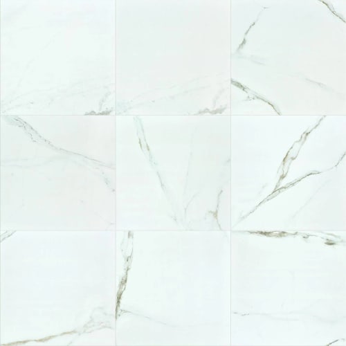 CASINO 24X24 POLISHED