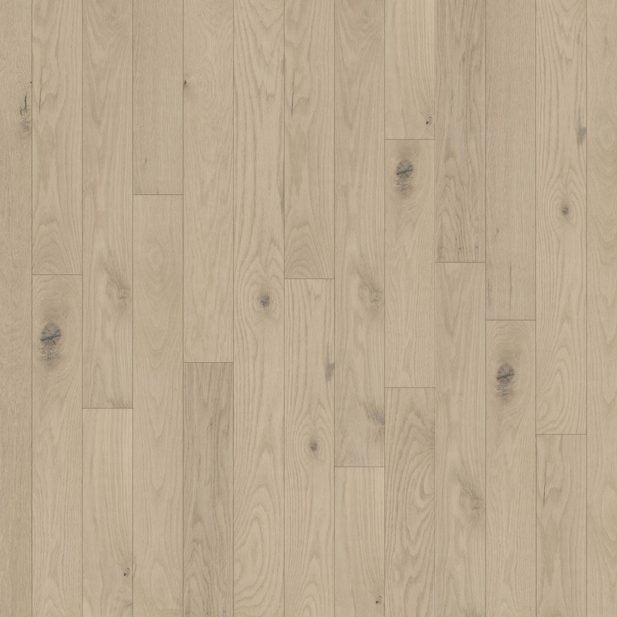 Anthem 5" in Cumberland Hardwood