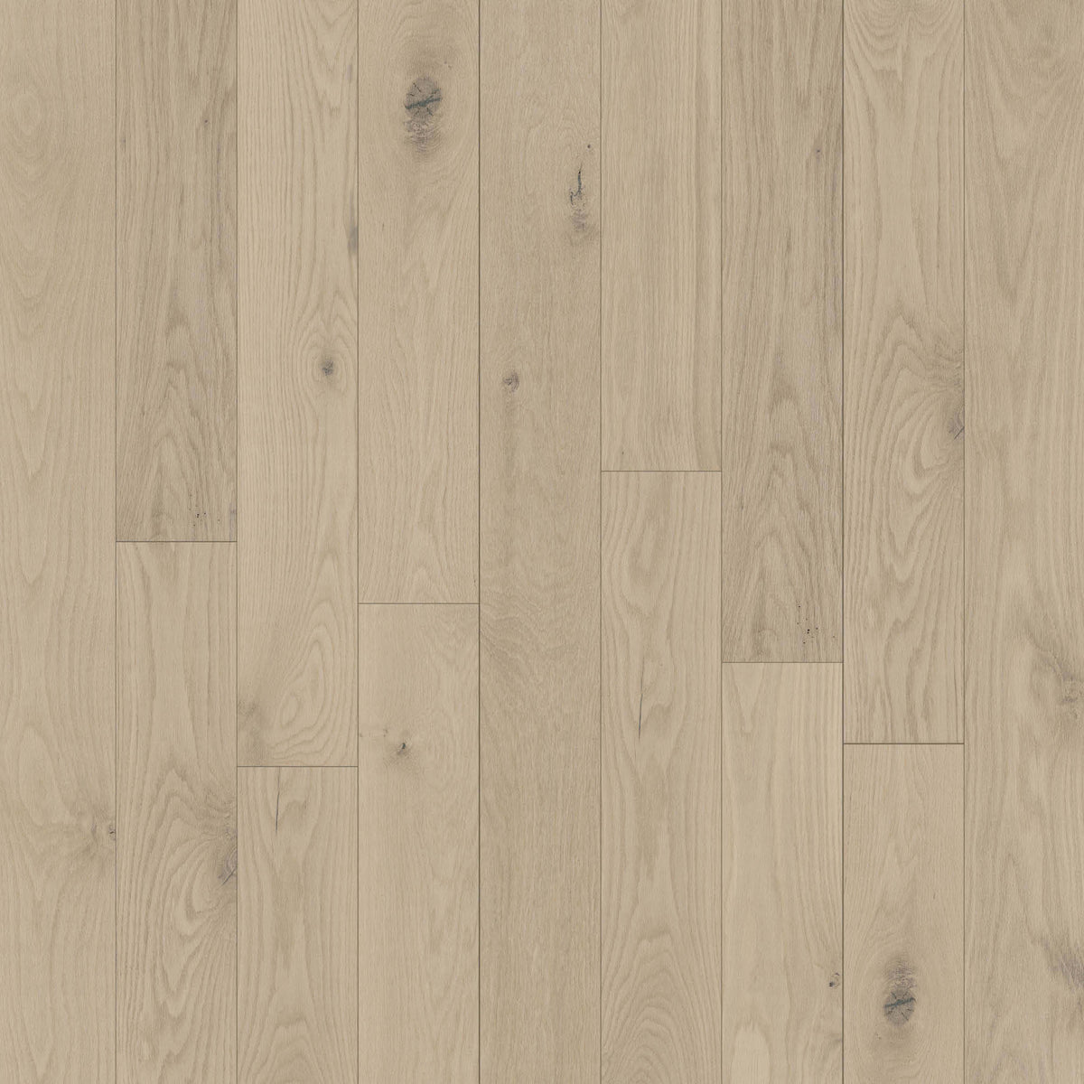 Anthem 7" in Cumberland Hardwood