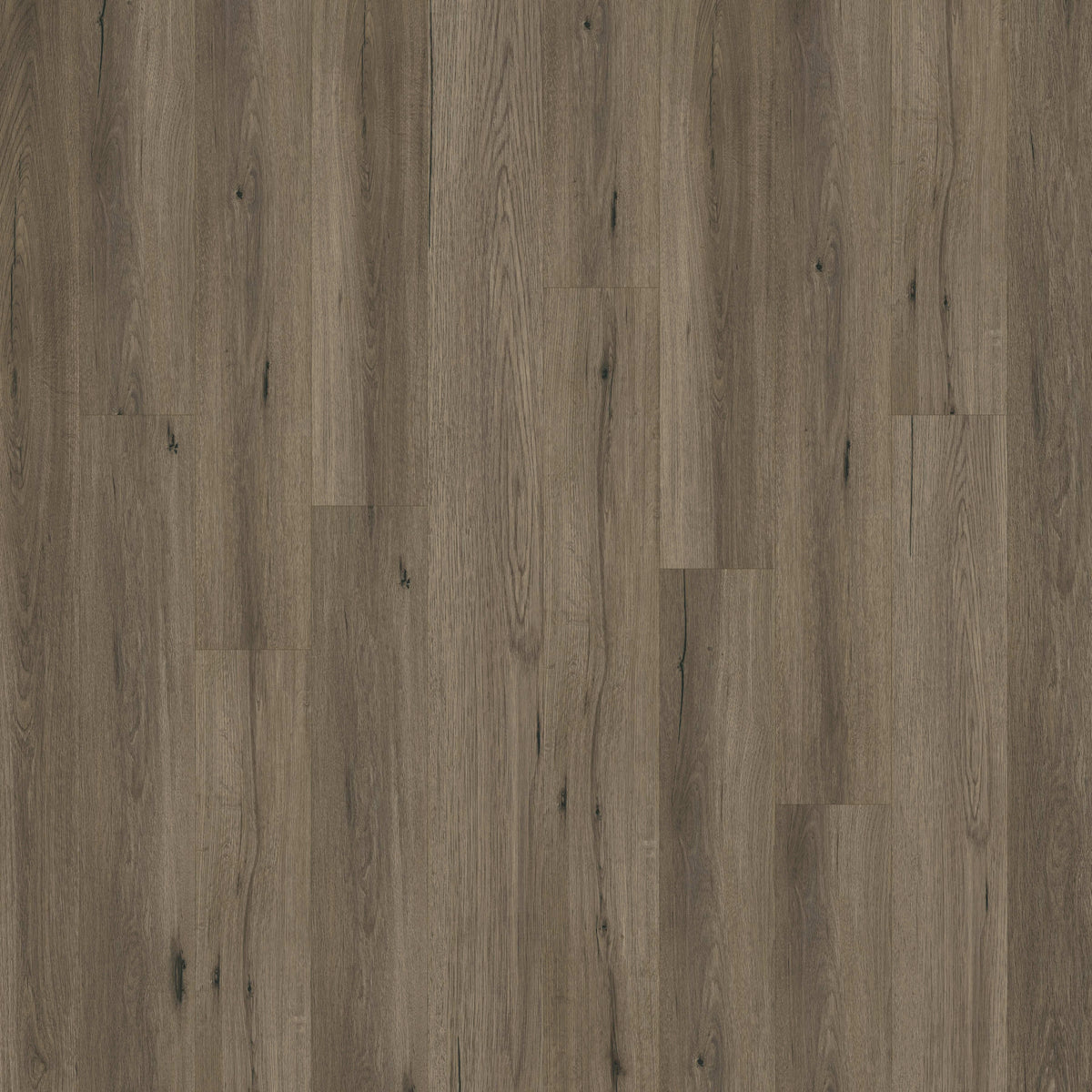 Alara Plus in Park City Luxury Vinyl