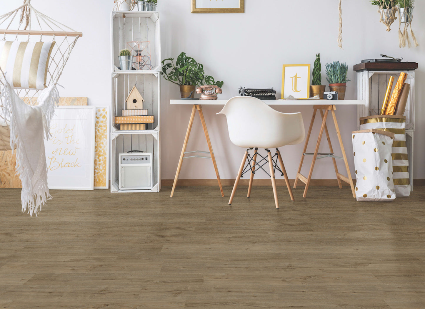 Alara Plus in Snowshoe