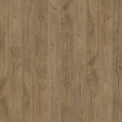 Alara Plus in Sugarloaf Luxury Vinyl
