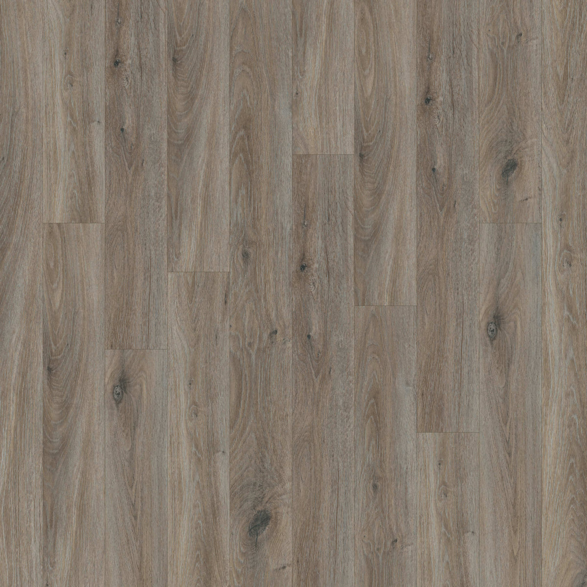 Alara Plus in Breckenridge Luxury Vinyl