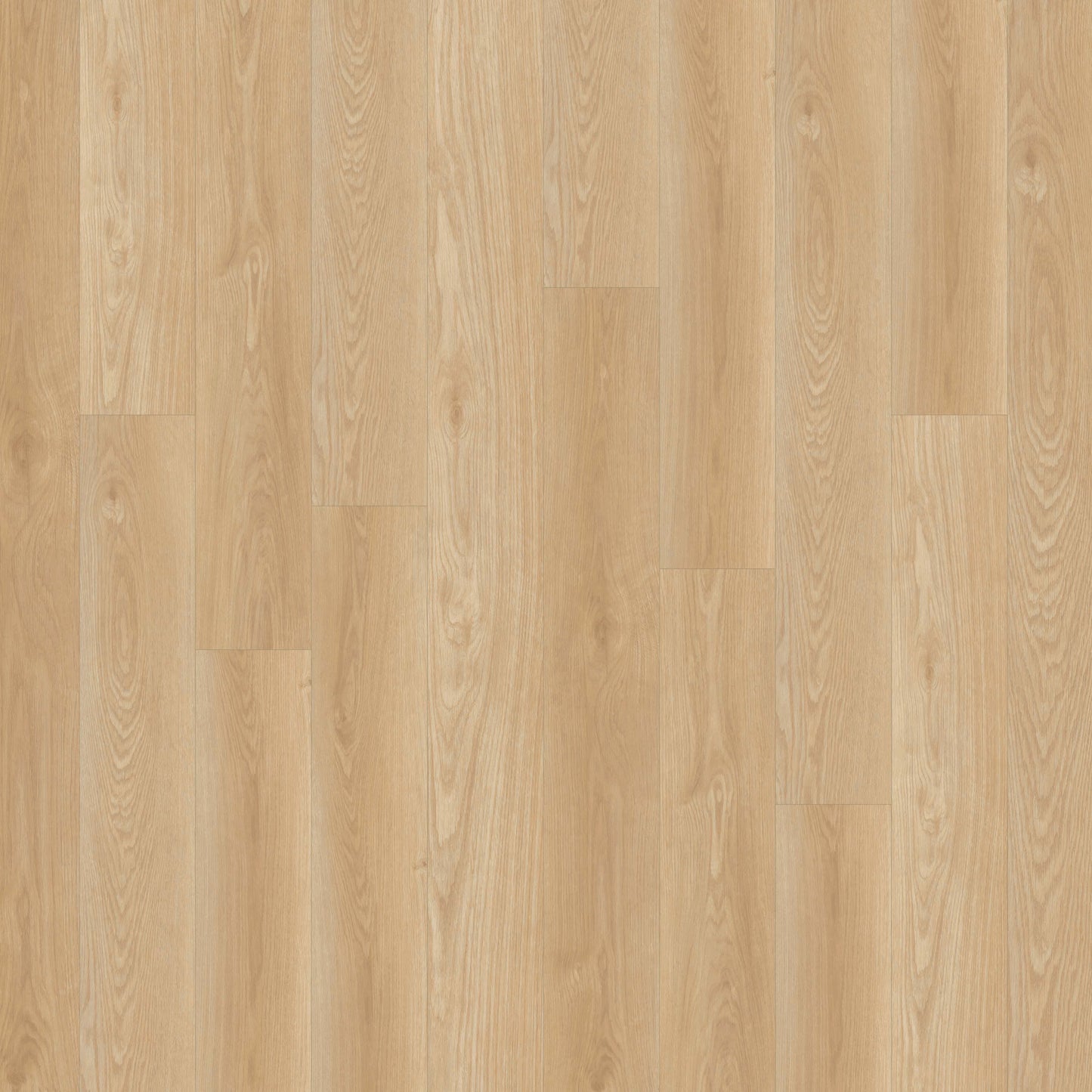 Alara Plus in Snowshoe Luxury Vinyl