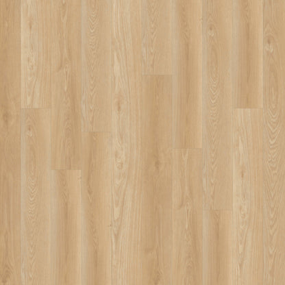 Alara Plus in Snowshoe Luxury Vinyl