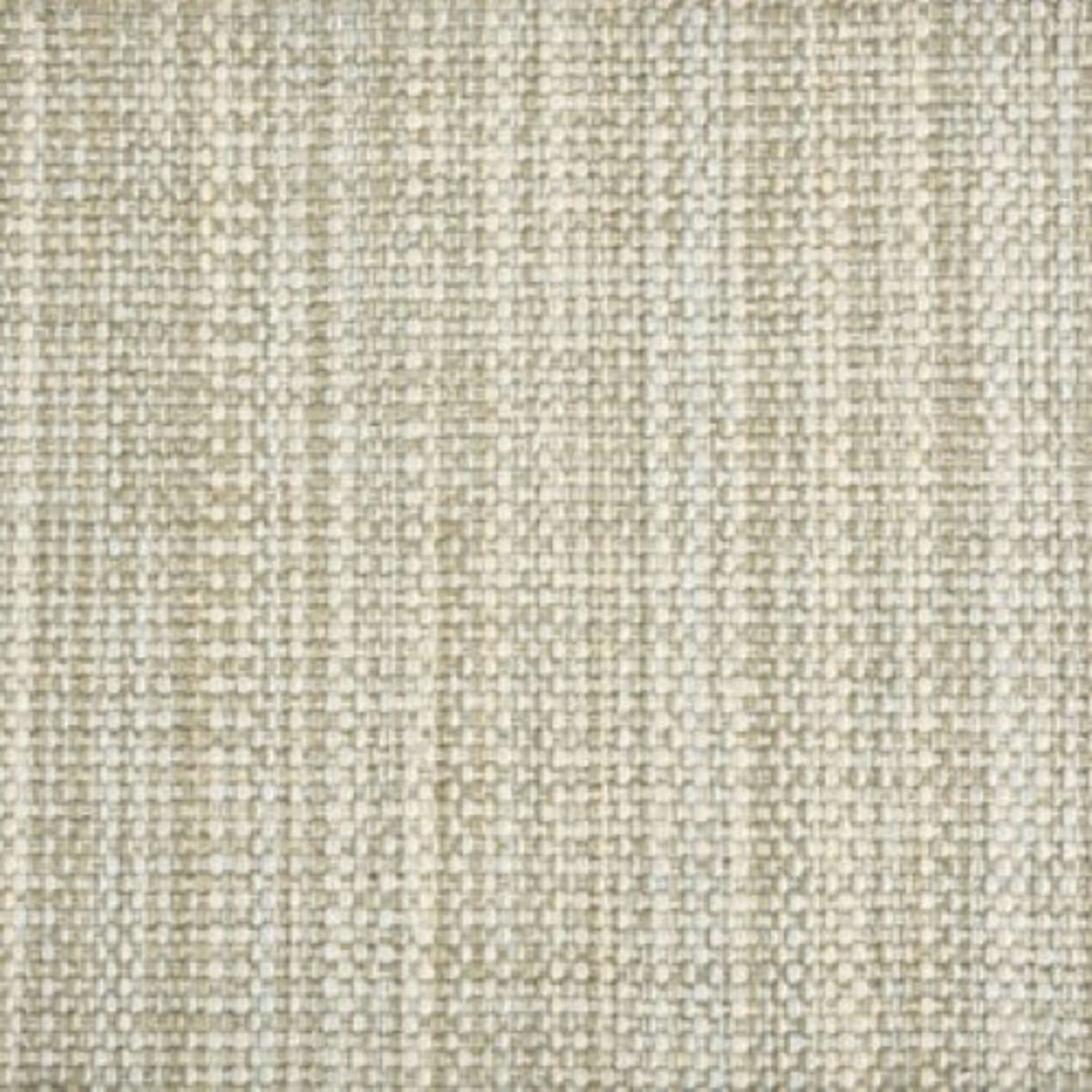 Cable Beach in Moss Carpet