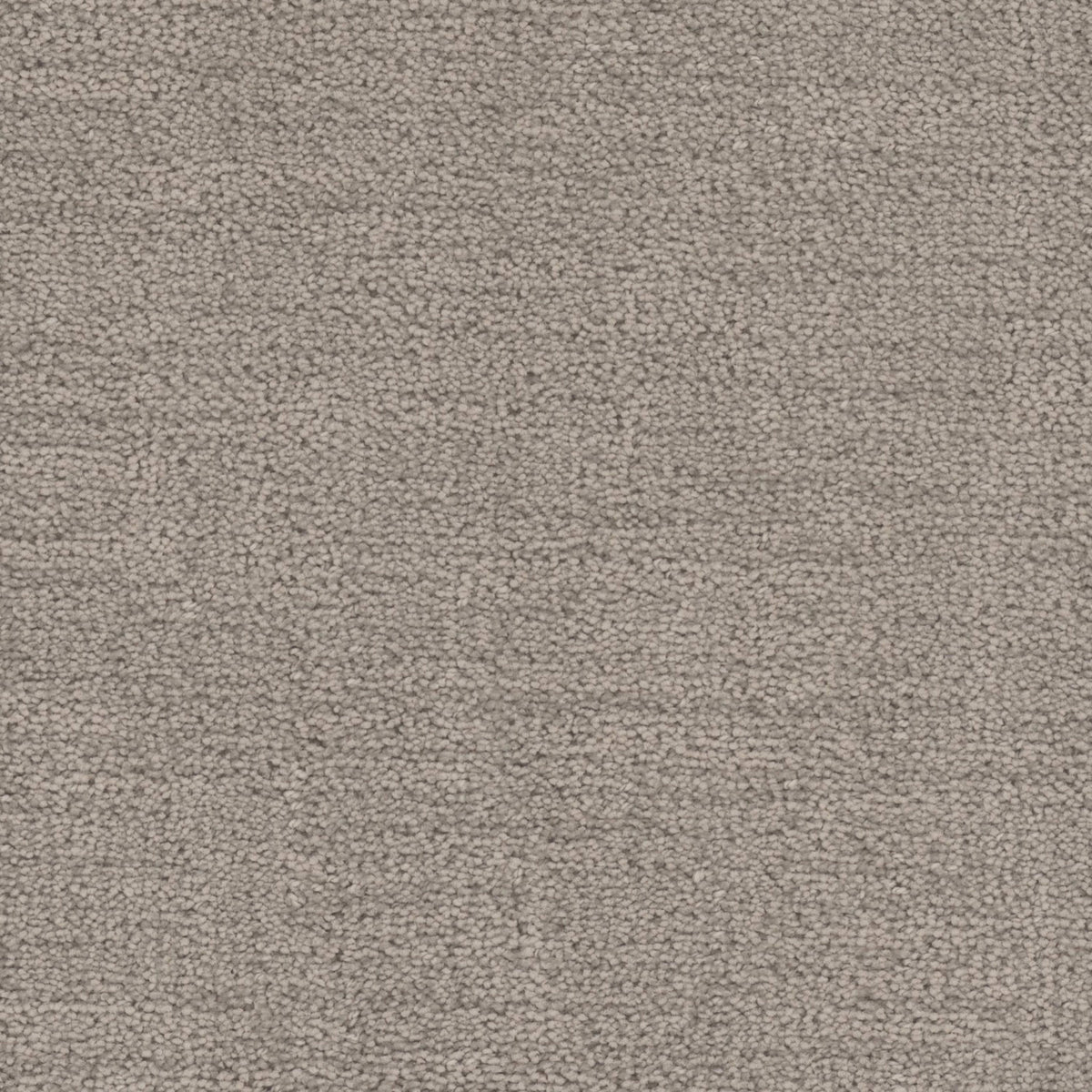 Cadence in Parchment Carpet