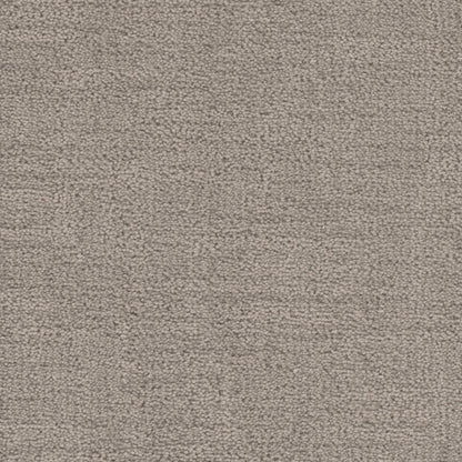 Cadence in Parchment Carpet