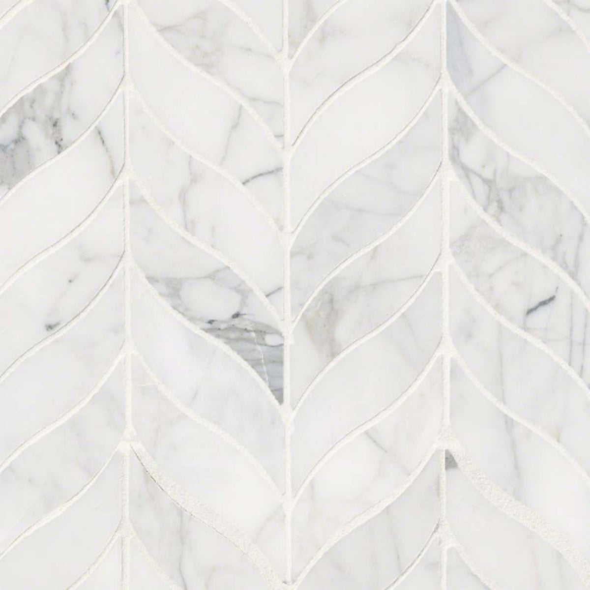 Calacatta Cressa in Calacatta Cressa Leaf Pattern Honed Natural Stone