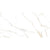 Calacatta in Gold Polished Tile