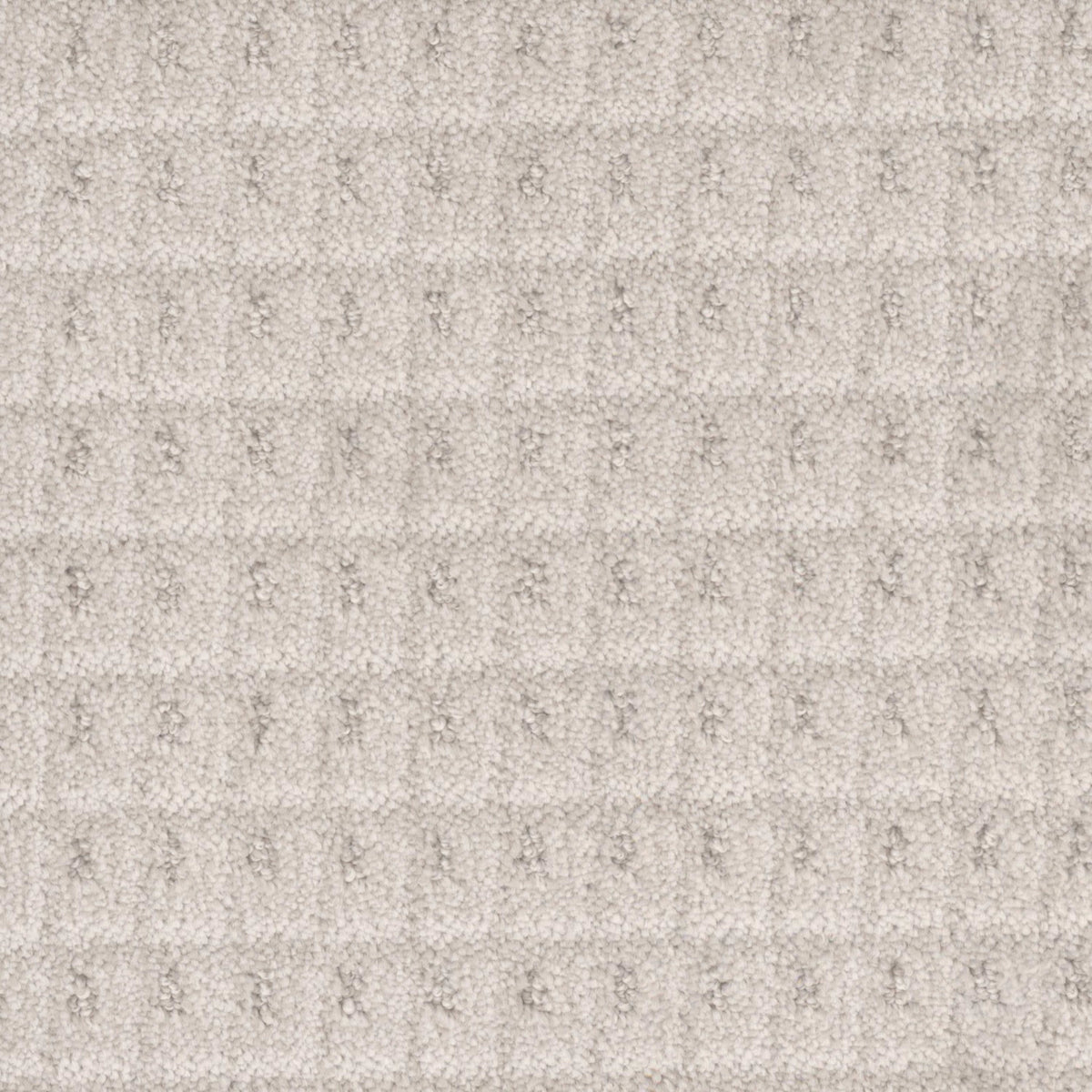 Cambria in Alabaster Carpet