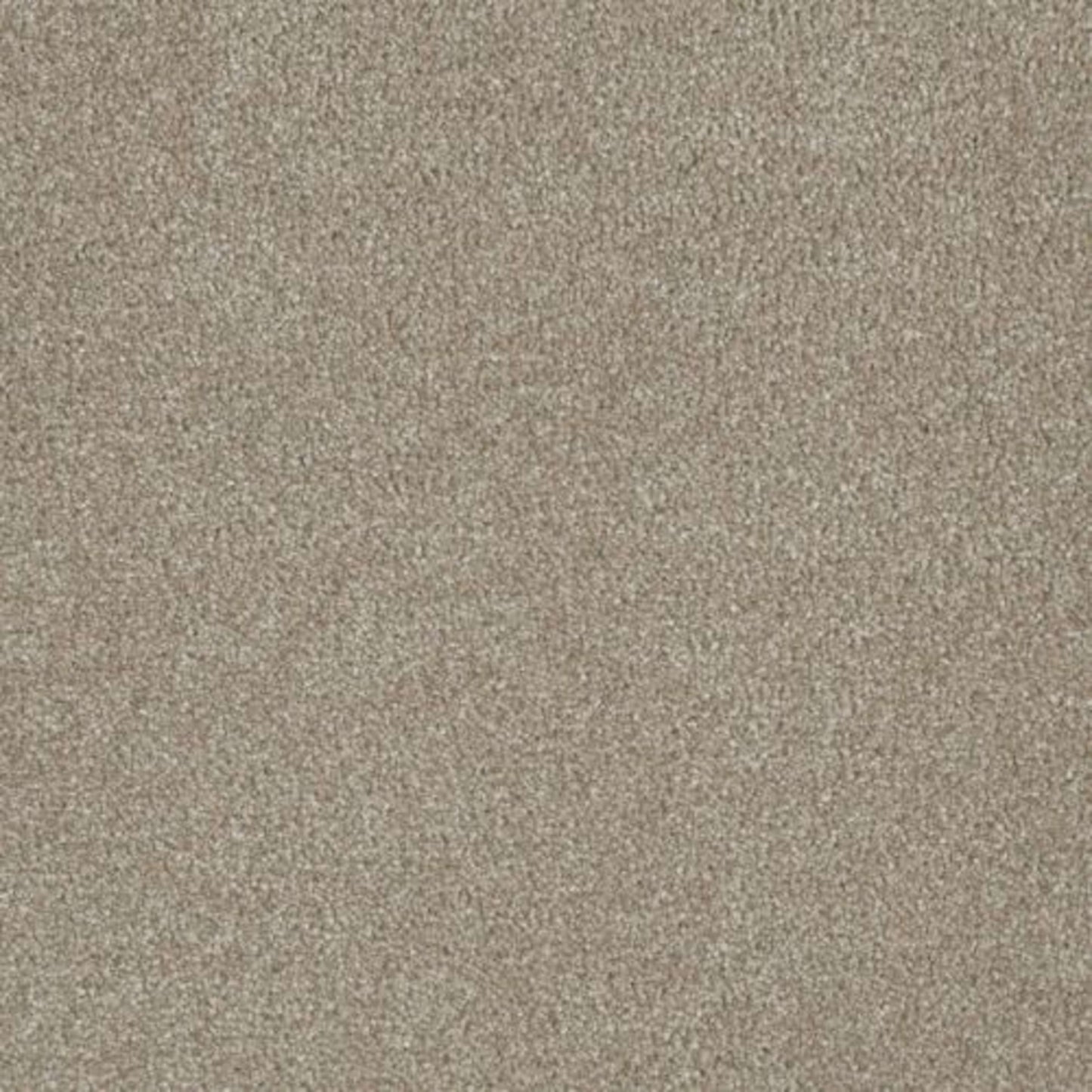 Luxor II in Cameo Carpet