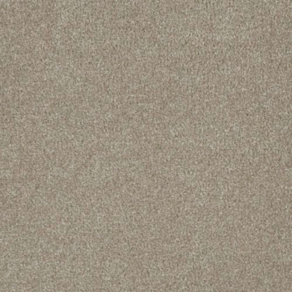 Luxor II in Cameo Carpet
