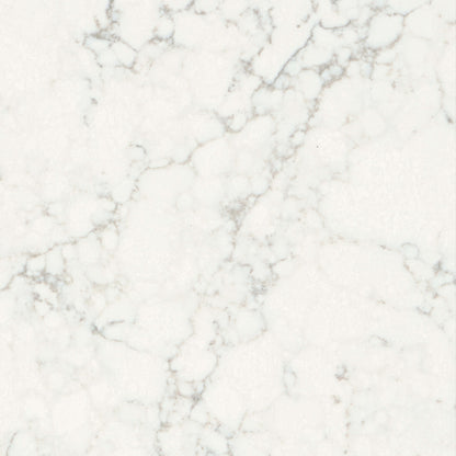 Musica in Cantata Solid Surface