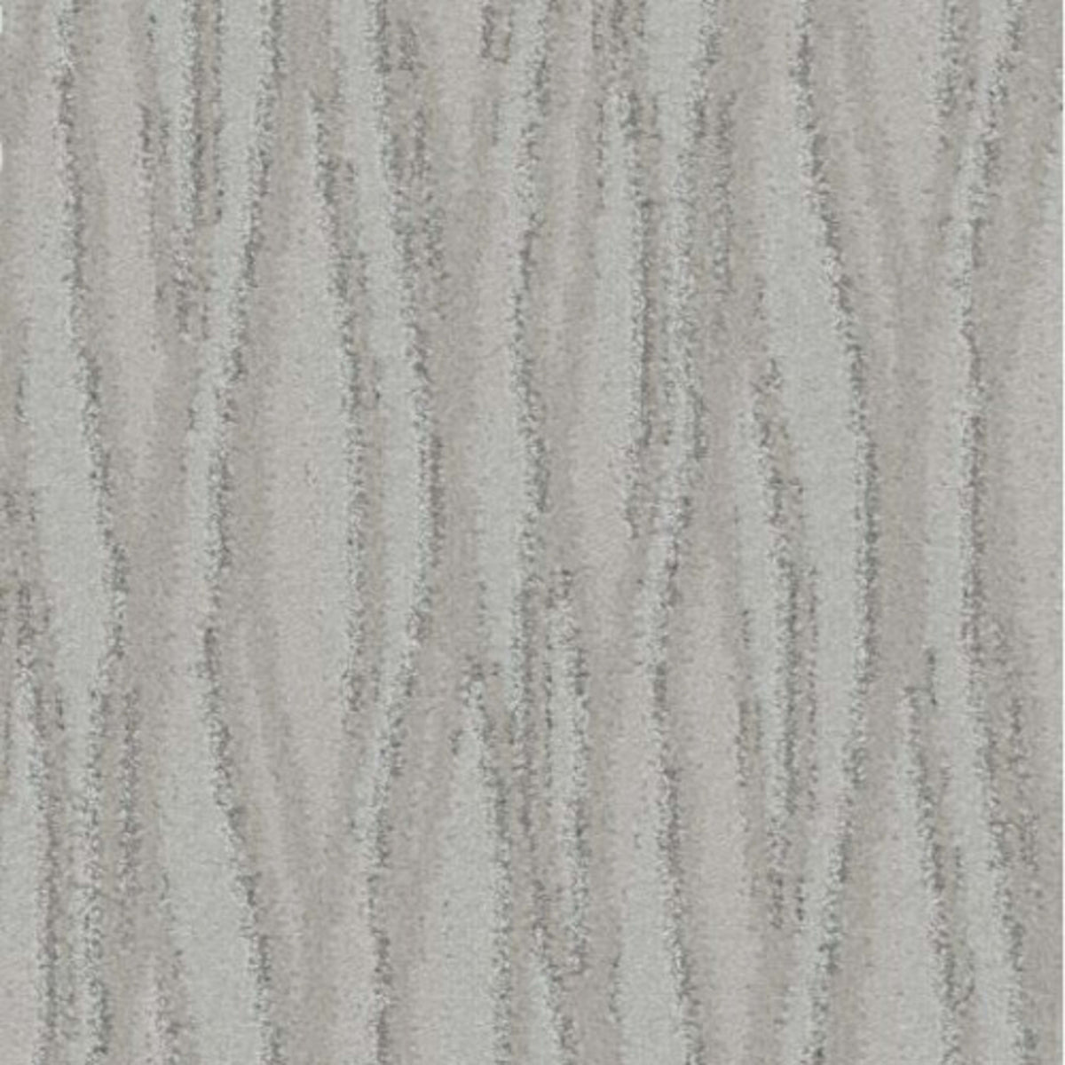 Captivation in Alabaster Carpet