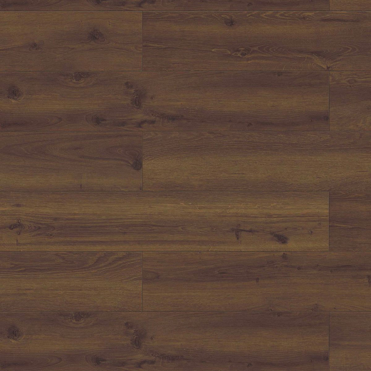 Visions in Cask Oak Laminate