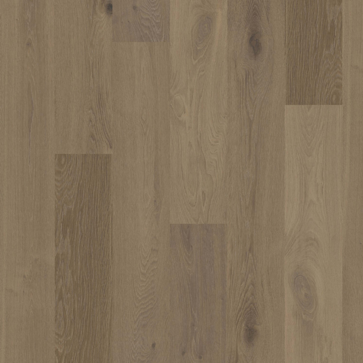 Terra in Chaparral Hardwood