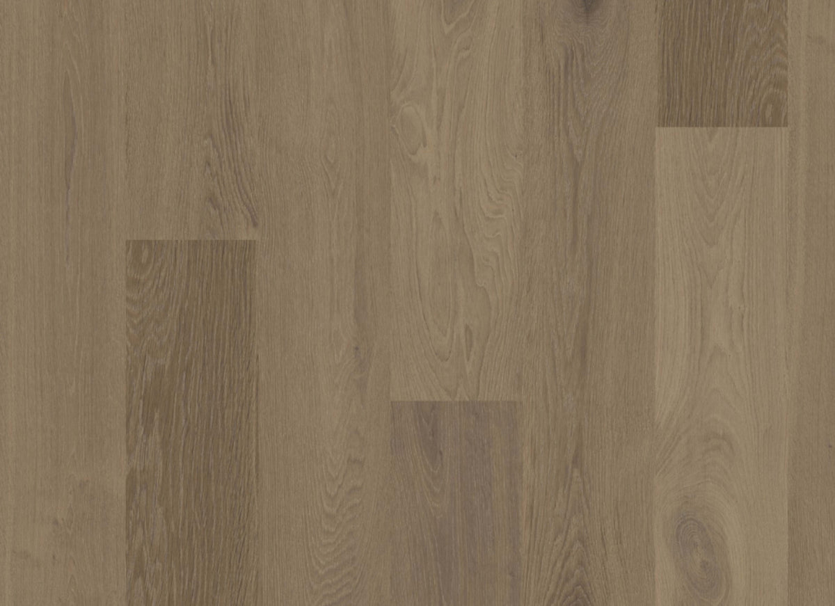Terra in Chaparral