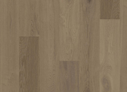 Terra in Chaparral