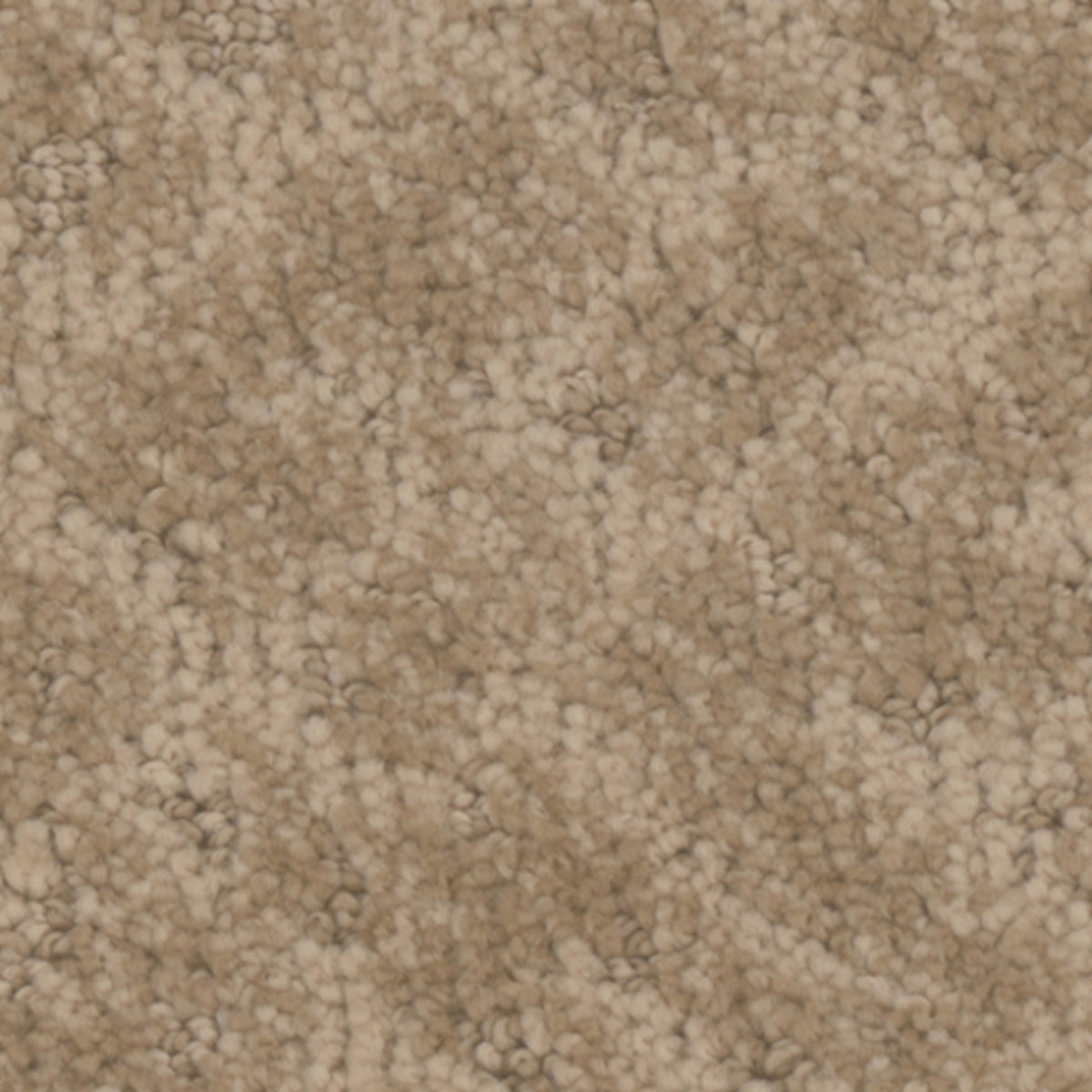 Cheshire in Dwelling Carpet