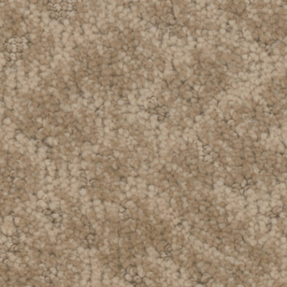 Cheshire in Dwelling Carpet