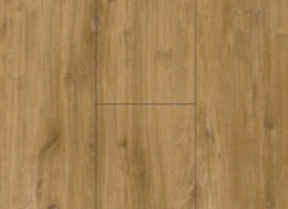 Luxwood XL in Chestnut