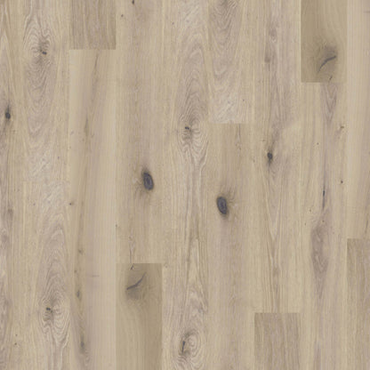 Global Winds in Chinook Hardwood