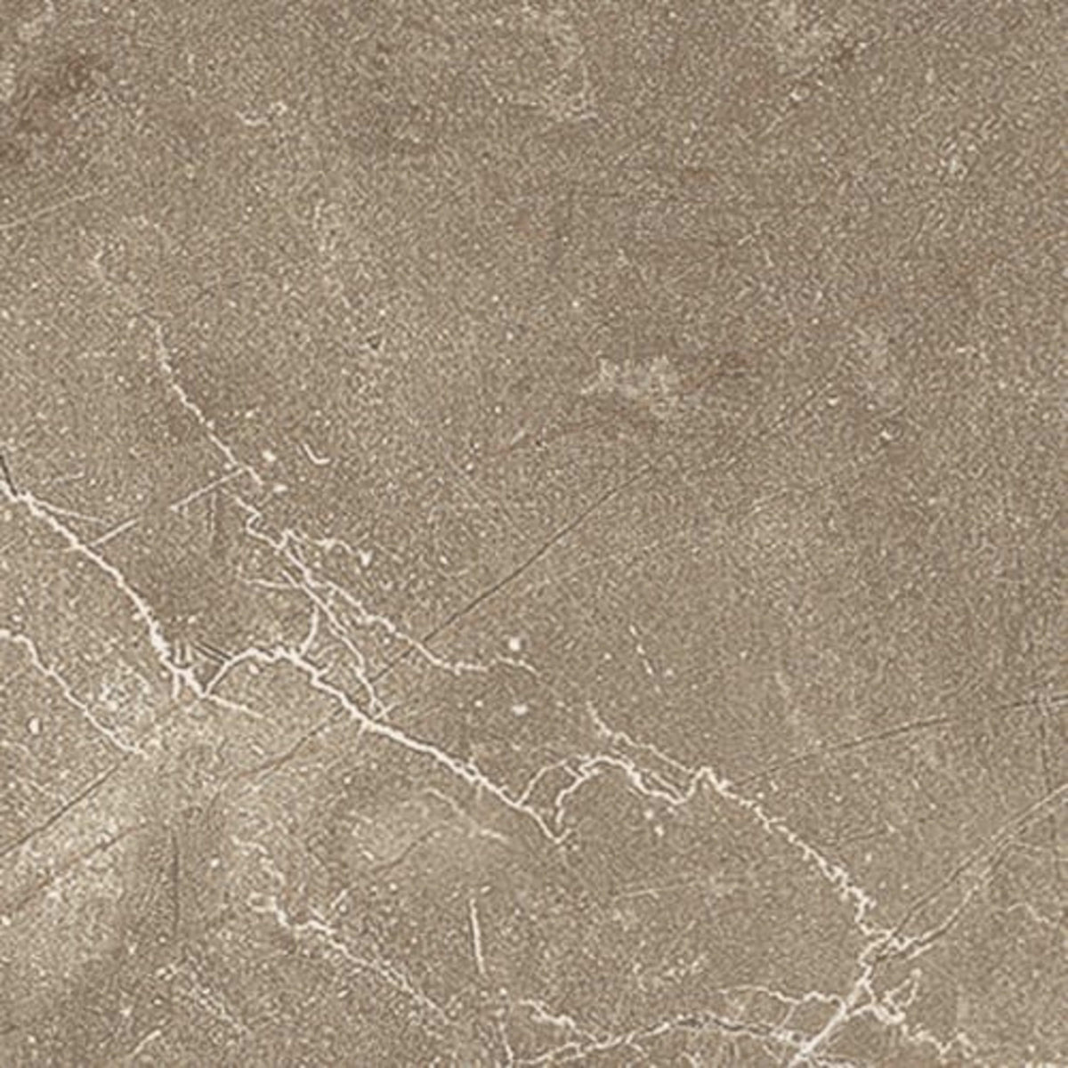 Classic in Pulpis Moca Tile