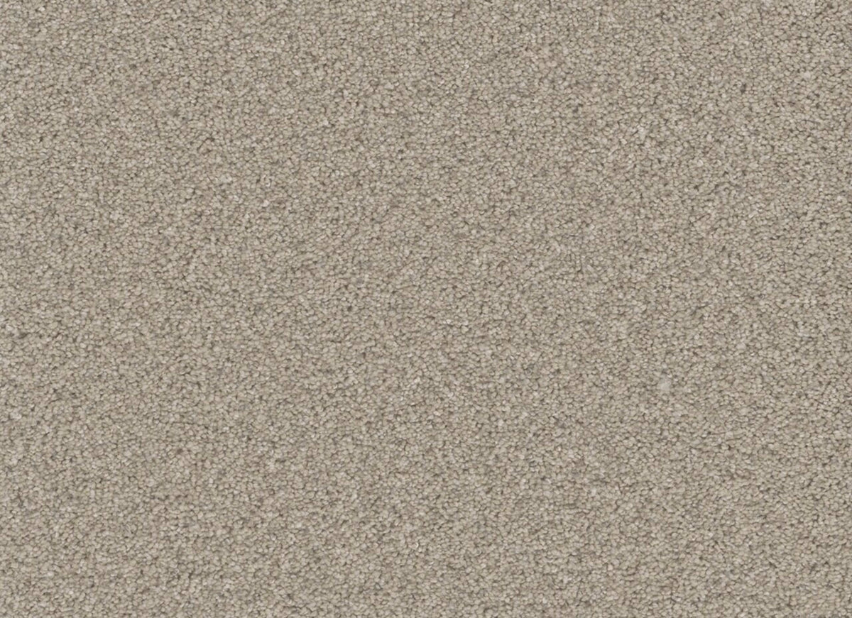 Windy City III