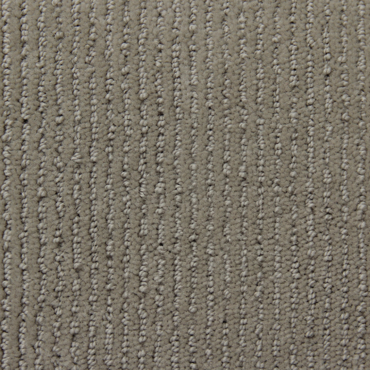 Corduroy in Misty Fog Carpet
