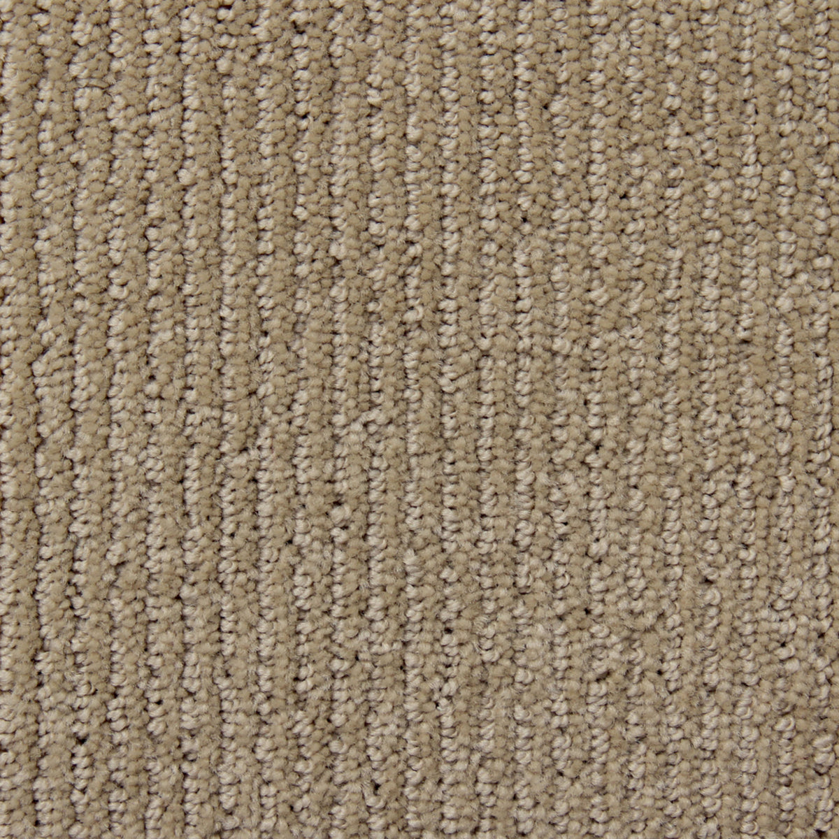 Corduroy