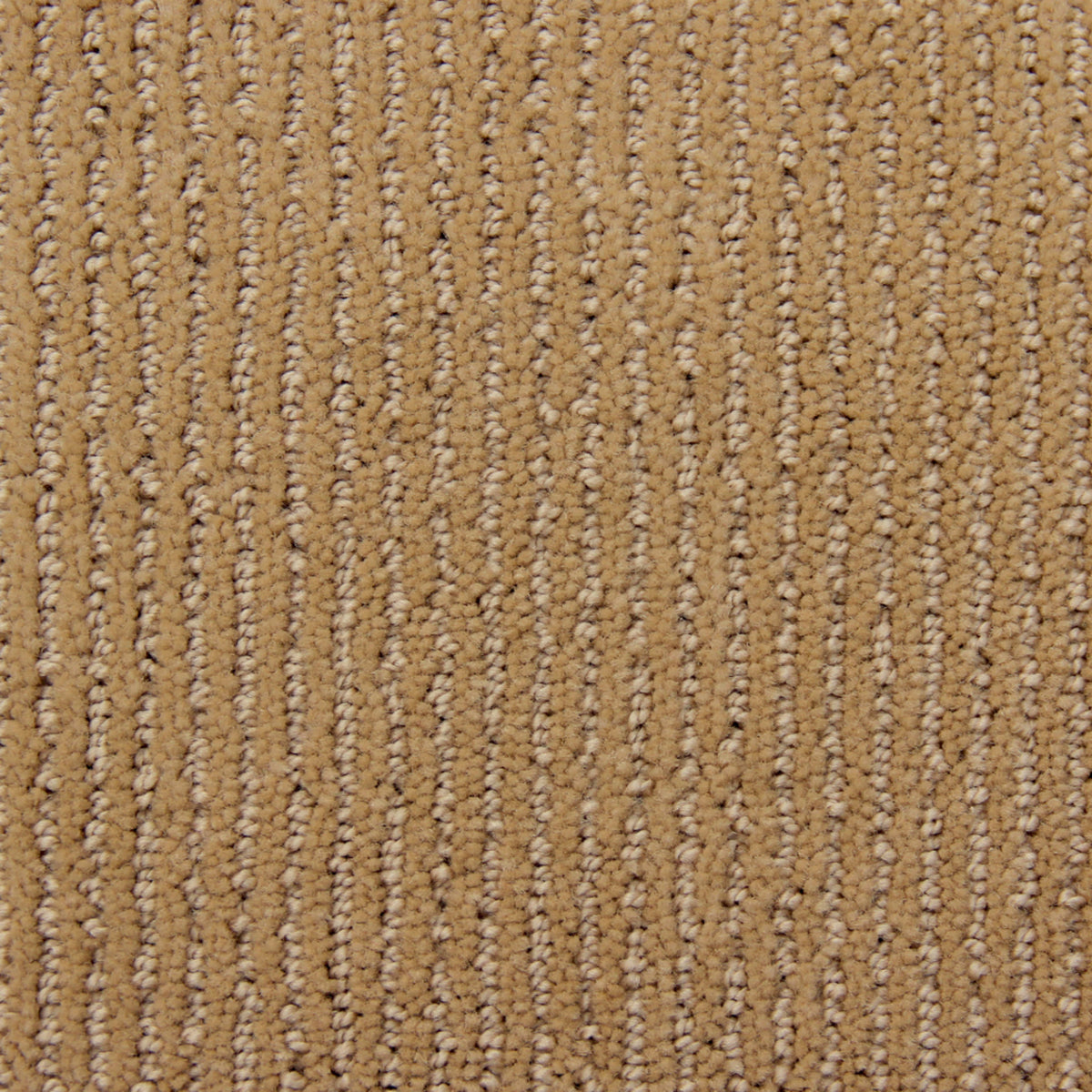 Corduroy