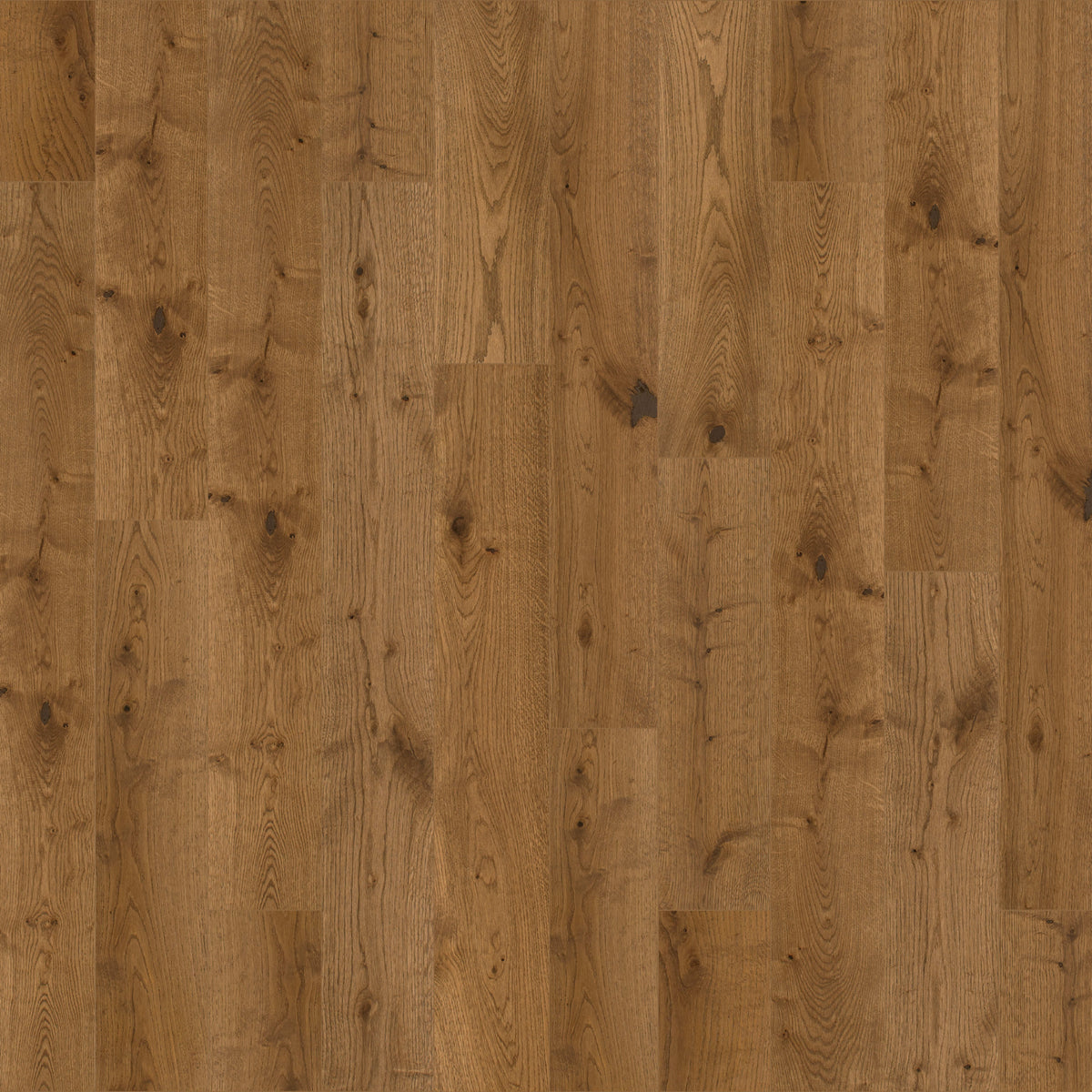 Costa Brava in Girona Hardwood