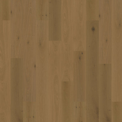 Costa Brava in Morella Hardwood