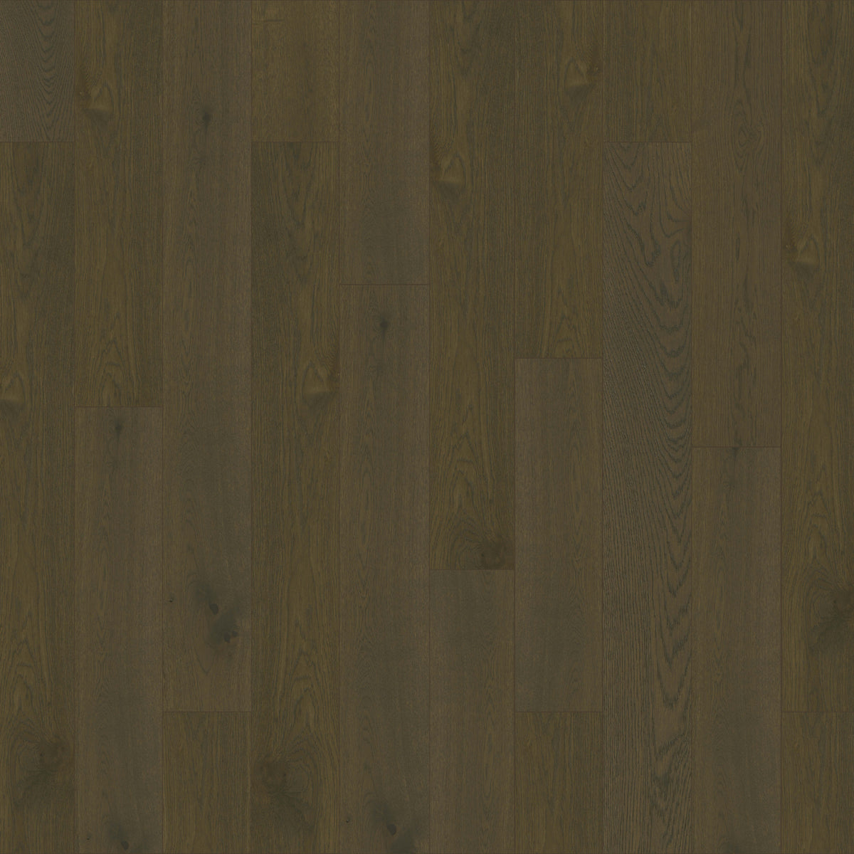 Costa Brava in Castellon Hardwood