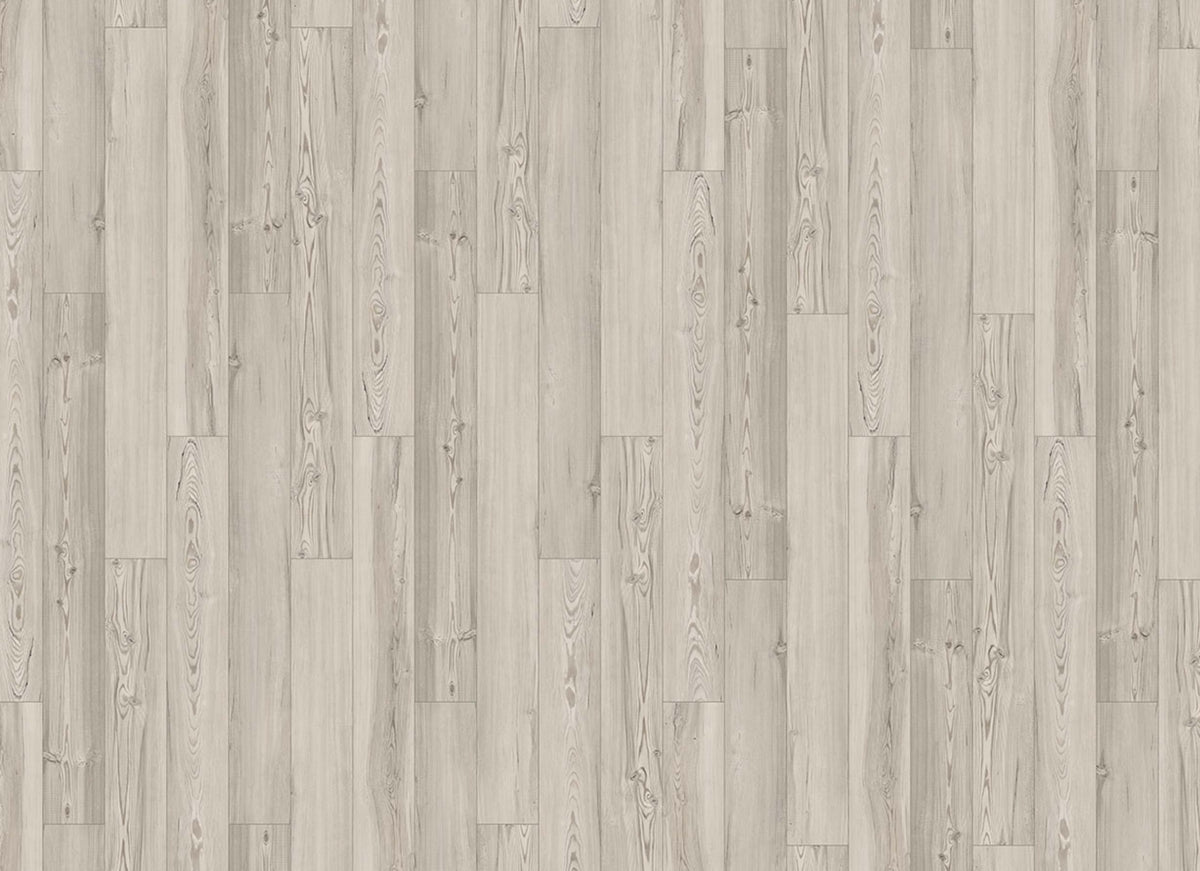 Innovious - Curio in Cove Pine
