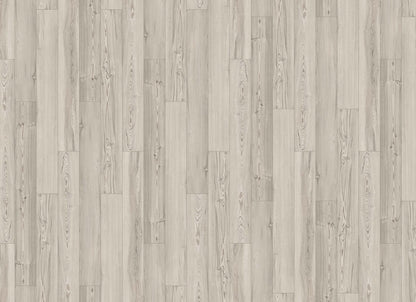 Innovious - Curio in Cove Pine
